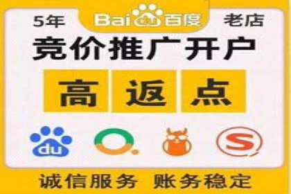 百度广告推广实战案例解析